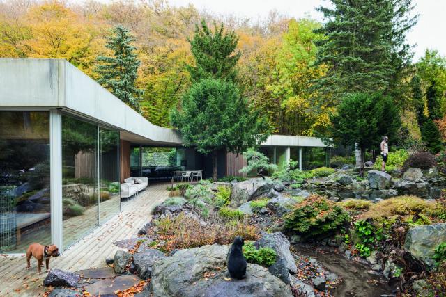 Trojcípá hvězda mezi stromy