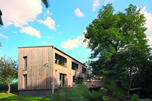 Dřevostavba na hraně lesa