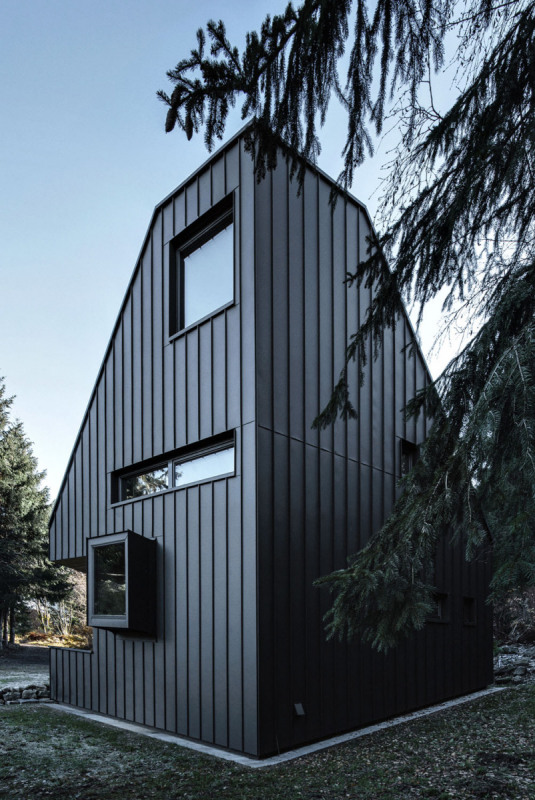 Dům vznikl symbiózou několika myšlenek. Jeho na první pohled zvláštní geometrie má svůj řád a logiku