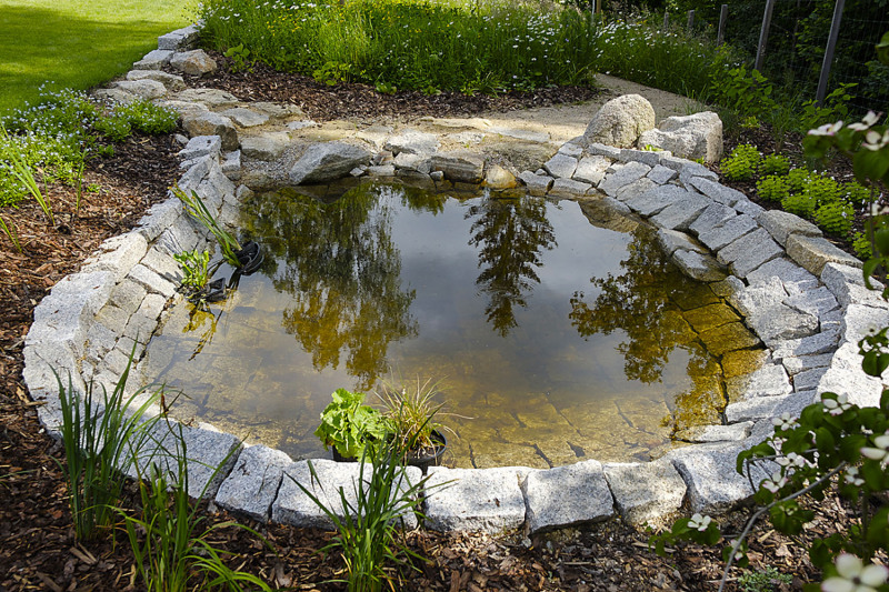 Zahrada sestává z několika zón, ve kterých je zastoupeno druhově pestré společenství rostlin od nízko střiženého trávníku, květnaté louky přes ovocné keře a stromy až po vodní biotop