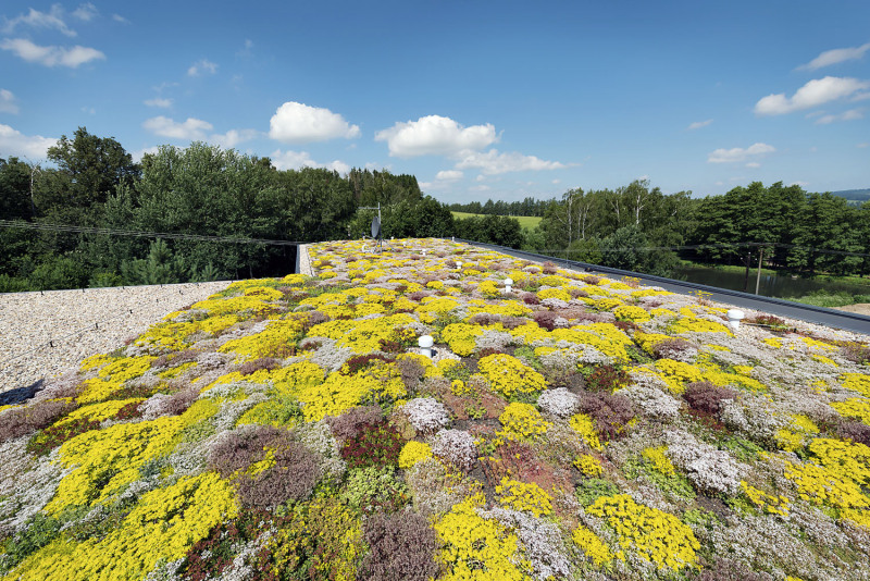 Rodinný dům situovaný v Kraji Vysočina je moderní stavbou, ve které je všechno přizpůsobeno pohodlí a komfortu rodiny