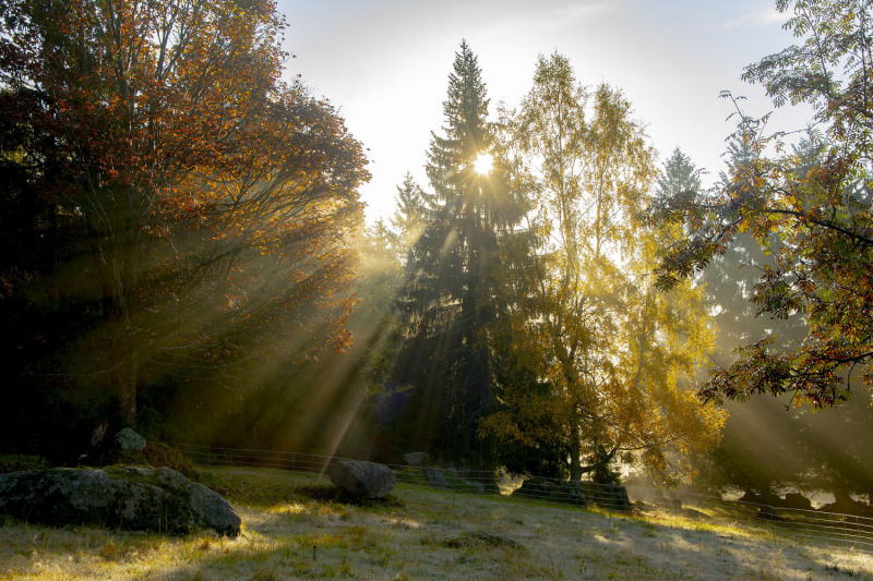 Dům respektuje tradici místní zástavby a je postaven na pozemku bez oplocení. Volně z něj lze tedy vyjít i na výlet do okolní přírody