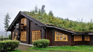 Vegetační neboli zelená střecha