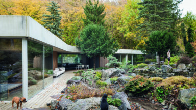 Trojcípá hvězda mezi stromy